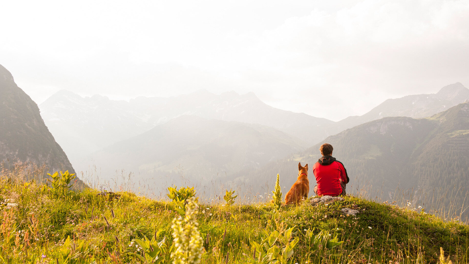 Wanderer mit Hund am Berg
